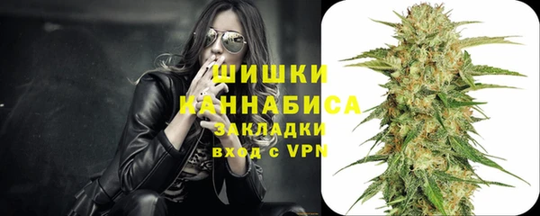 шишки Белокуриха