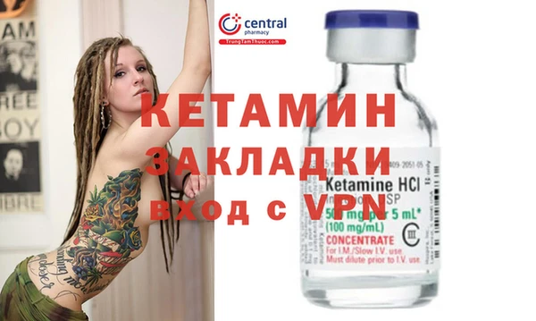 шишки Белокуриха