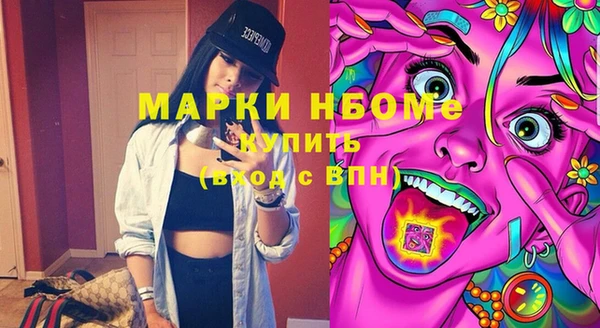 шишки Белокуриха