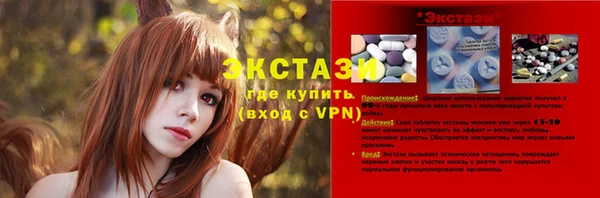 шишки Белокуриха