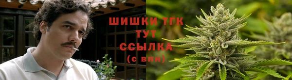 шишки Белокуриха