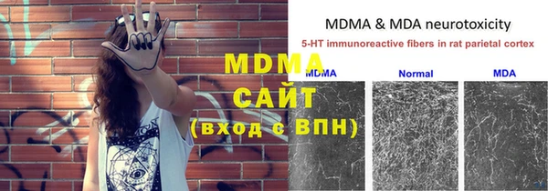 шишки Белокуриха
