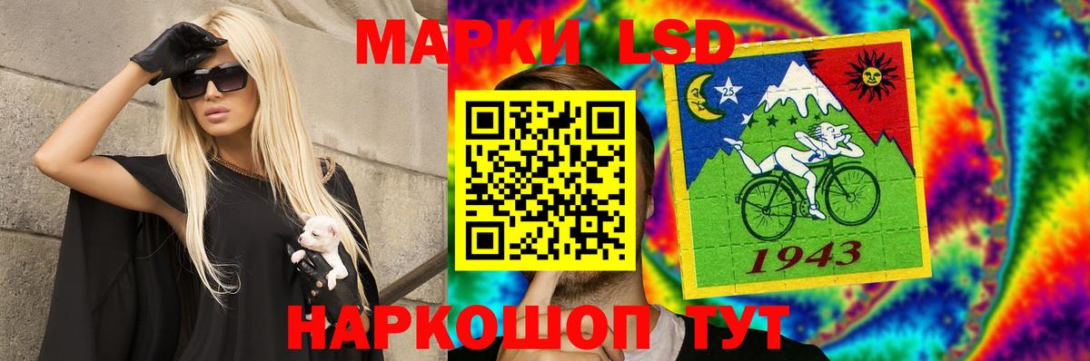 МЕФ Дмитров