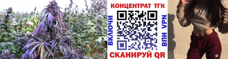 Дистиллят ТГК концентрат  Дмитров 