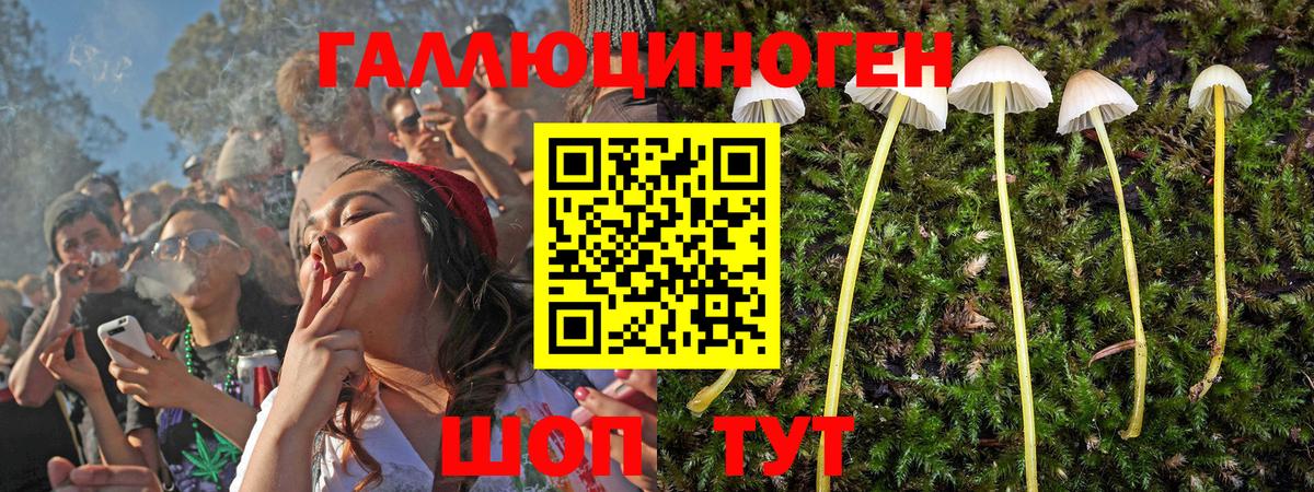 Псилоцибиновые грибы прущие грибы  Вход с VPN  Дмитров 
